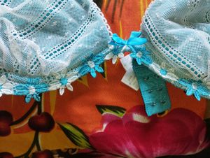 Beautiful Skyblue Bra Wired