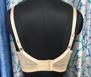 Elegant Lace Padded Bra with embroidery