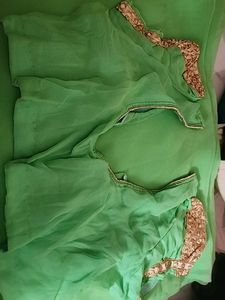 Mint Green Embroidered Saree