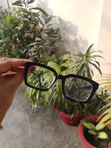 Stylish Black Frame Eyeglasses