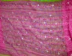 Vibrant Saree with Intricate Embellishments