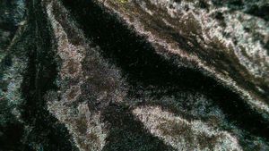 Elegant Black Velvet Vest