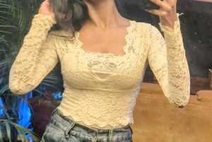 Elegant Sheer Lace Long Sleeve Top