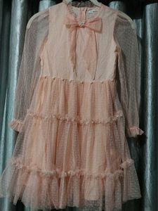 SHEIN mesh Dress