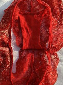 Sheer Lace Red Briefs