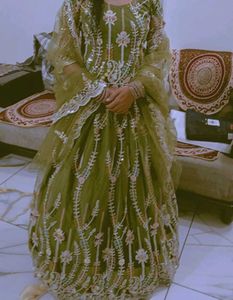 Elegan Ethnic Gown