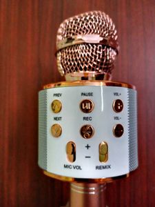 Portable Wireless Mic and Bluetooth speaker.