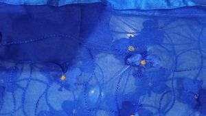 Stunning Royal Blue Butterfly Saree