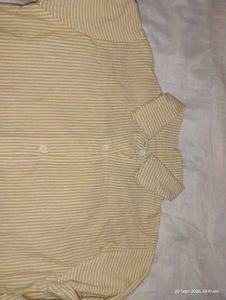 Striped Button-Down Shirt