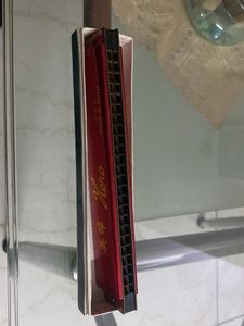 Brand New Mouth Organ/Harmonica For Adults/kids