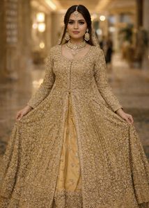 Gorgeous Ethnic Gown