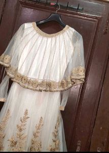 Elegant beigee &amp; Gold Embroidered gown