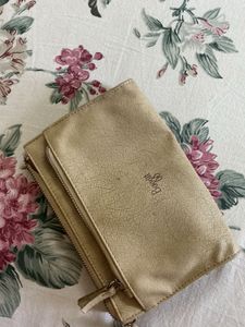 baggit Clutch Bag