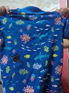 Boy Polo Tshirt