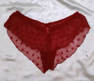 Sheer Red Floral Briefs