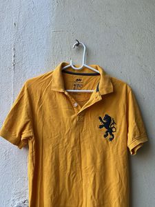SET OF 3 Teal Polo Shirt from Spunk