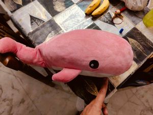 Stuff Toy Fish