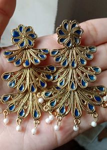 Beautiful Peacock Design Earrings