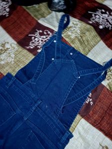 Trendy Ripped Denim Overalls with T-shirt