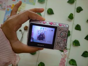 Sony cybershot DSC-S730 digicam 📷