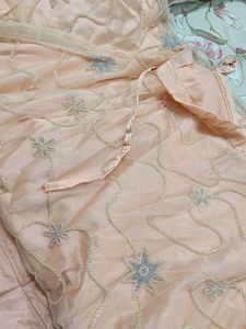 a beautiful intricate peace lehenga