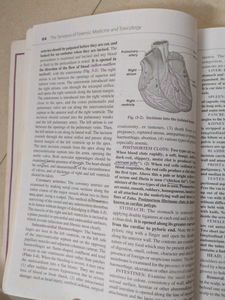 The Synopsis of Forensic Medicine and Toxicology