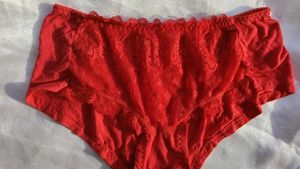 Red Lace Trim Briefs