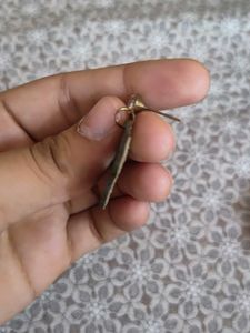 Olive Green Flower Earrings