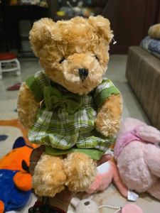 Adorable Teddy Bear in Green Plaid Dress