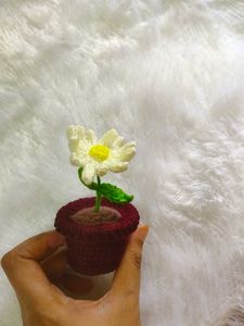 crochet daisy flower pot