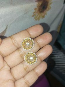 Exquisite Beaded Earrings