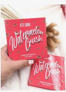 S.f.r Color Watermelon Crush eyeshadow palette
