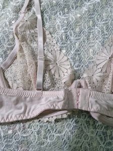 Sheer Lace Floral Bra