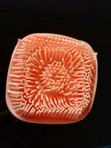 Silicone Body Scrubber