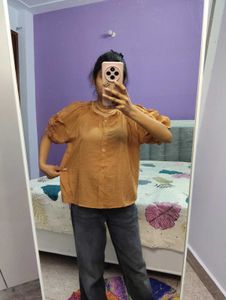 Stylish brownesh Puff Sleeve Top