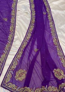 embroidered Bodyhugging saree