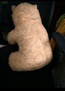 Tedy Bear