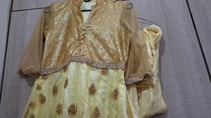Designer Sequined Lehenga Choli