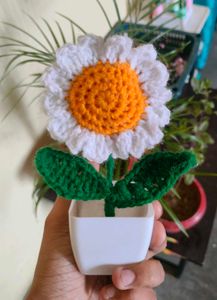 Crochet Daisy Flower pot