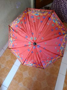 2 Color Umbrella