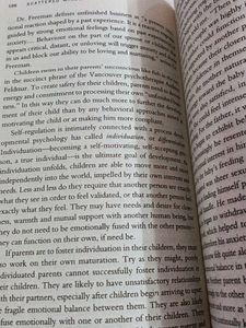 Scattered Minds by Gabor Mate