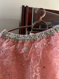 Pastel Pink Embroidered Lehenga Set