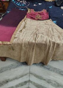 Designer Embroidered Lehenga Choli