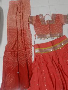 Traditional Indian Lehengacholi Set