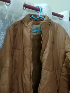 Winter Jacket