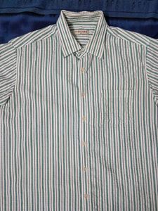 Classic Green Stripe Short-Sleeve Shirt