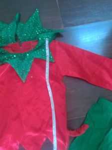 fancy dress Clown dres