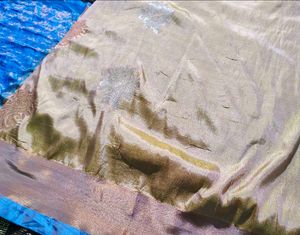 Lovely pure silk uppada saree