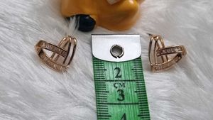 Heart Design Earrings with Crystals