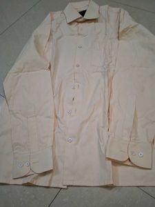 Richlook Shirt
